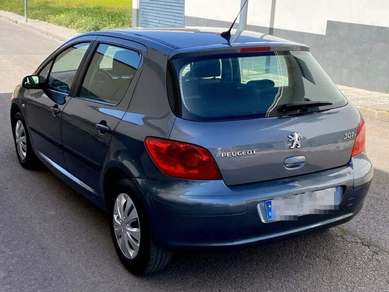PEUGEOT 307 1.6i 110cv XLine