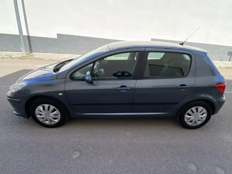 PEUGEOT 307 1.6i 110cv XLine