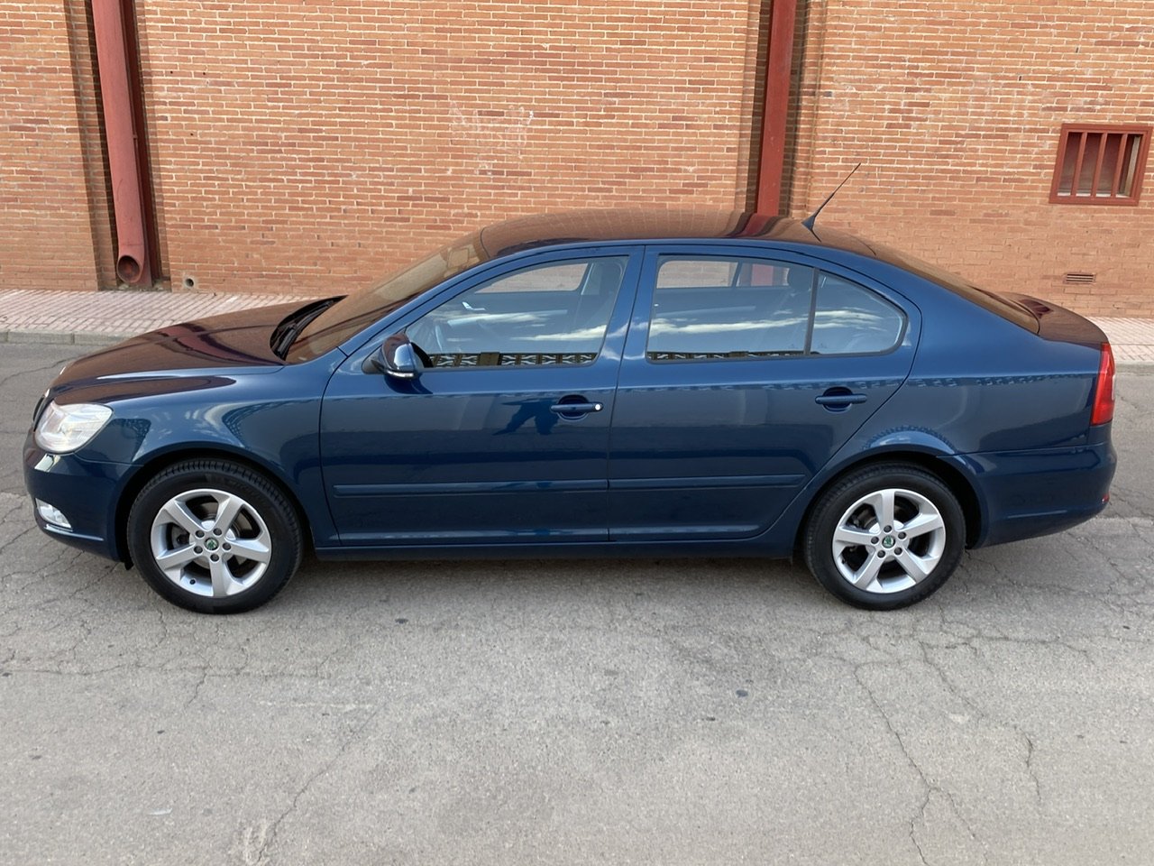 SKODA Octavia 1.6 TDI 105cv Ambition
