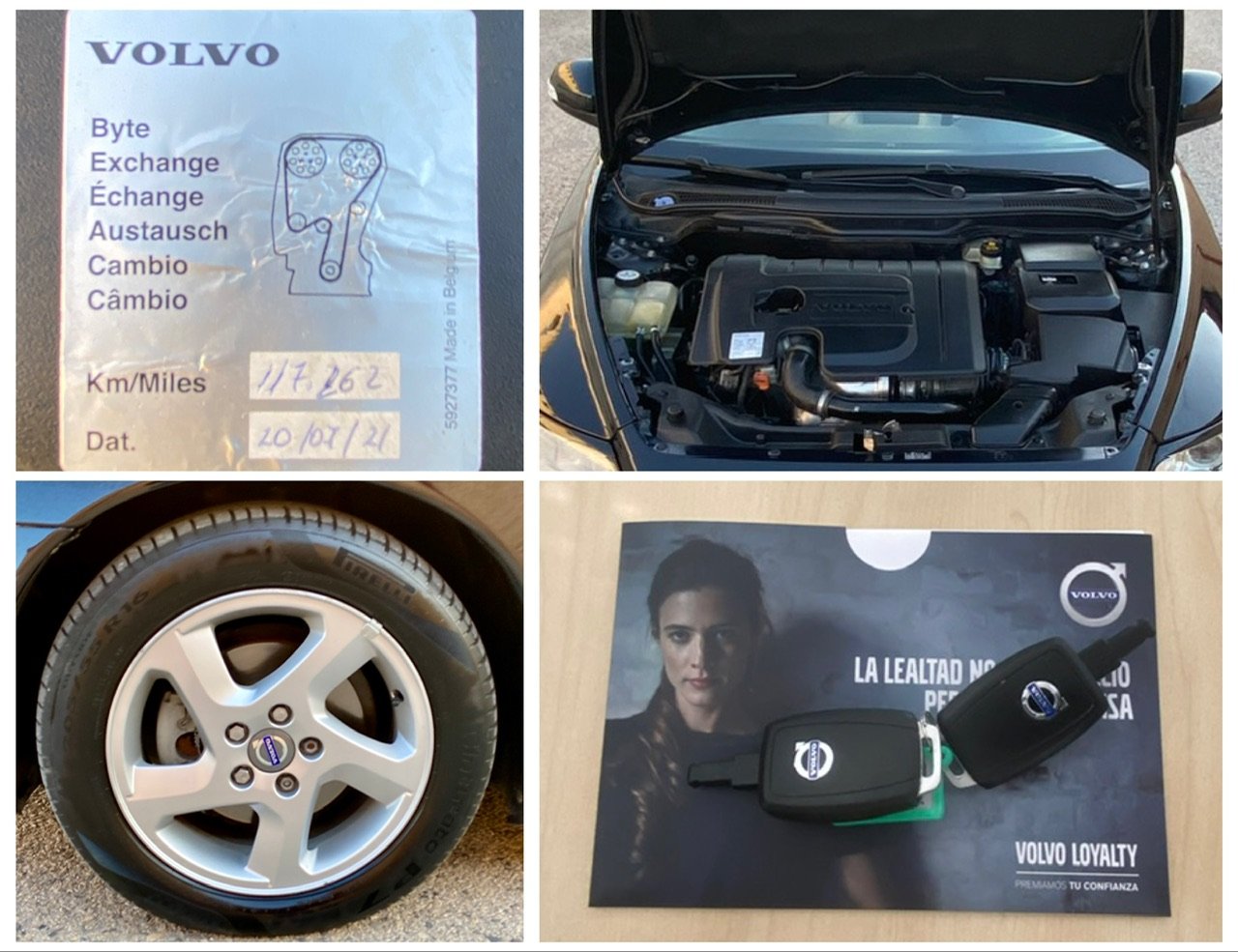 VOLVO V50 1.6D 136cv Drive Momentum