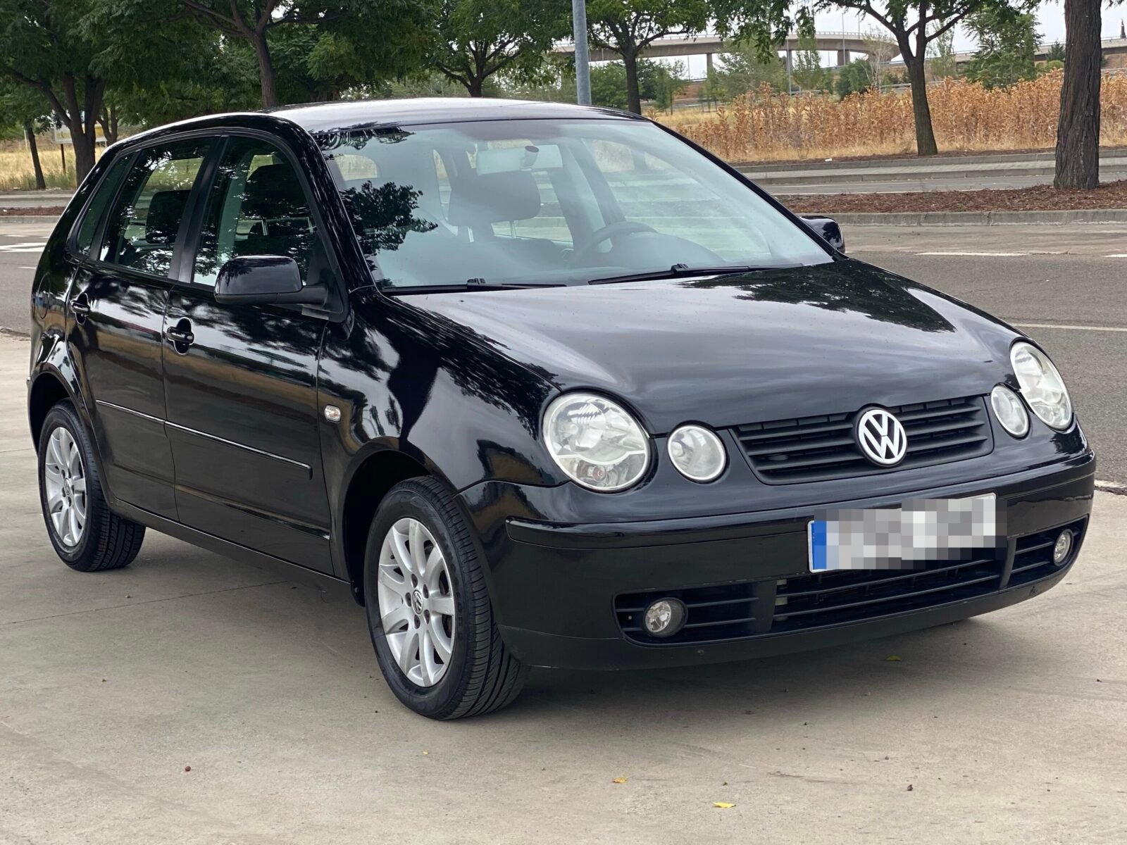 VOLKSWAGEN Polo 1.9 TDI 100cv 5 puertas